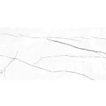 Indian Porcelain Floors, Glossy Surface, Size  80×160 cm