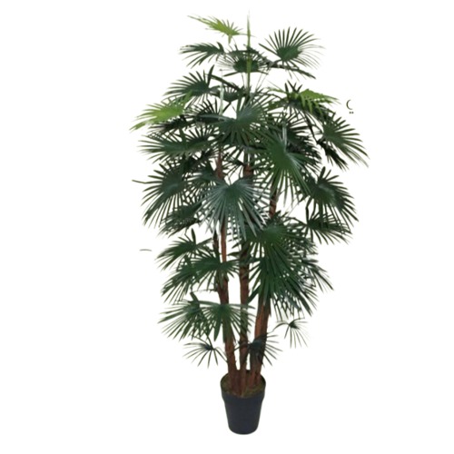 Artificial Fortune Palm Plant Height 150 cm Green | Luxury line