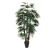 Artificial Fortune Palm Plant, Height 150 cm 