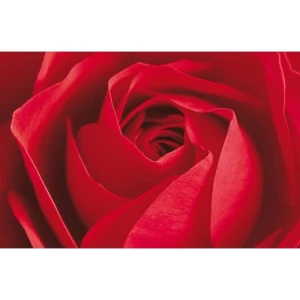 Mural Image Floral Design 175 cm × 115 cm, Red Color | Balbaid Decor Company