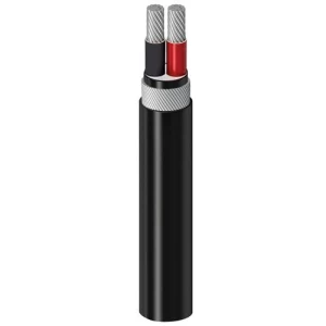 16mm 2 Core Stranded Aluminium SWA Armored Cable, XLPE Insulated, 0.6/1kV | Al Fanar
