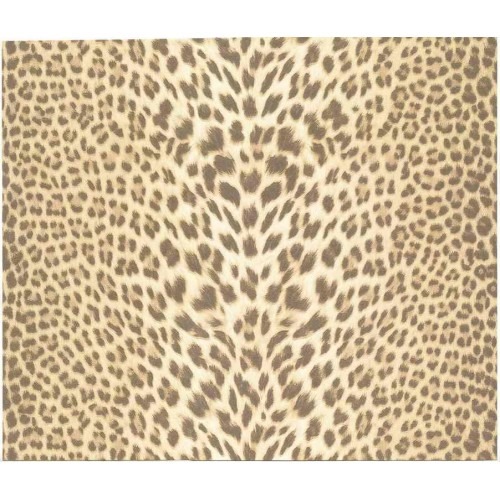 Italian Wall Decoration Brown with Beige Color, Size 10m×0.70m, Model 12021 | Balbaid Decor Company