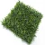 عشب جداري صناعي، تغطية 1 م²، لون أخضر 