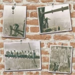 Youth and children wallpaper, light brown color, length 10 m, width 0.53 m, model 235005 