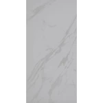 Indian Ceramic Tiles, Size 60×30 cm, 6555 – NI Model, , LT-1 Color