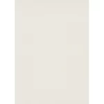 ورق حائط الماني موديل 10335-02 مقاس 10 ×0.53 متر، لون رمادي فاتح، تصميم سادة