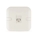 فيش تليفون مفرد نظام امريكى جاك 3 خط، ابيض، مقاس 7×7 سم | سبكترا 