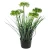شجرة زهرة البصل صناعية ، مقاس 60 سم، لون أخضر 