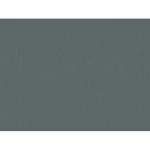 Dutch plain wallpaper, dark grey color, length 10 m, width 0.53 m, model 221434