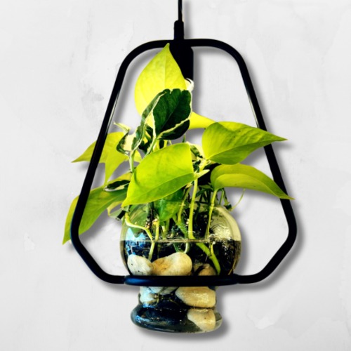 Hanging Planter with Glass Pot 33 cm Height, 30 cm Width, Modern Design | Matkel Store