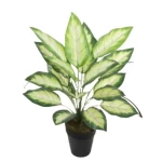 شجره صناعية دفنباخيا ورق مبرقش، ارتفاع 120 سم، لون أخضر مع ابيض 