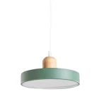 Decorative Ceiling Light, Size 20x4x6 cm, green color