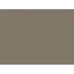 ورق جدران سادة هولندي مقاس 10 م×0.53 م، لون بيج داكن، موديل 221424