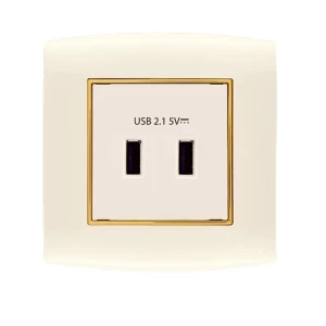فيش شاحن USB مزدوج 2.1 أمبير امنية 7x7 سم بيج بحلقة ذهبى | شركة الفنار
