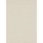 ورق جدران ساده طول 10 م، عرض 0.53 م، لون بيج موديل 10393-02