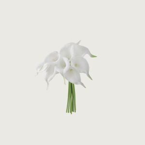 Calla Artificial Flower 10x30 cm, White Color | ZHR-25110501926