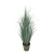 River grass plant, 67.5 cm tall, green 