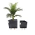 Fiberglass Plant Pot, Square Shape, Dark Gray, Dimensions 28×28×20 cm