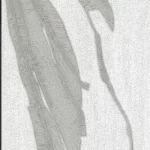 ورق جداري كلاسيكي غلاف فينيل، طول 15.6م، عرض 106 سم، لون رمادي خافت و ابيض 