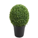 كورة نباتية مع حوض مقاس 50x50 سم، لون اخضر 