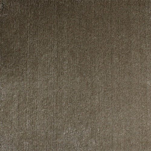 Floor Carpet Dark Beige, Product Code 339 | YT-83297059