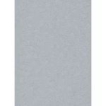 German Wall Covering, Silver Color, Length 10 m, Width 0.53 m, Model 10079-29