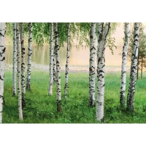 صورة جدراية تصميم استوائي 366سم × 254سم لون اخضر | شركة بالبيد للديكور