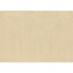 Italian Wall Decoration, Beige Color, Length 10 m, Width 0.73 m, Model 24084