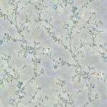  ورق حائط ايطالي لون رمادي فاتح، طول 10 م، عرض 0.73 م، موديل 27056