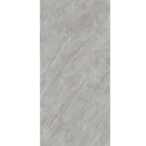 Porcelain Tile 120x60 cm Silver Marble Matte Finish | Fujian