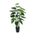 نبات بوتس زينة صناعي، ارتفاع 45 سم، لون اخضر 