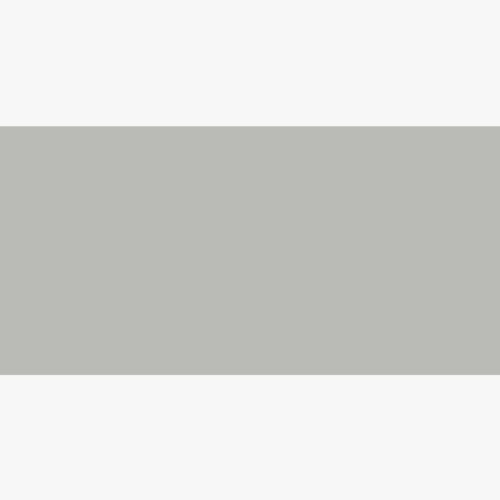 Light Grey Porcelain Tiles 120x60 cm for Hallways and Entrances | 