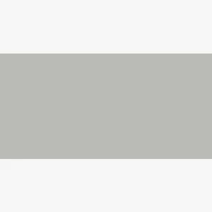 Light Grey Porcelain Tiles 120x60 cm for Hallways and Entrances | 