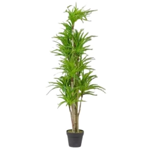 Derasil Artificial Plant 160 cm Height Green Color | Derasil