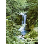 Wall mural for decoration forests design, Size 183 cm × 254 cm, green color