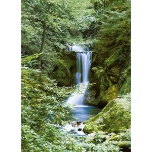 Wall Mural Forests Design 183 cm × 254 cm Green | Balbaid Decor Company