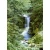 Wall mural for decoration forests design, Size 183 cm × 254 cm, green color