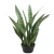شجره صبار صناعي جلد النمر، أبعاد 75 سم، لون أخضر 