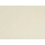 Plain wall covering, beige color, length 10 m, width 0.53 m, model number 46011