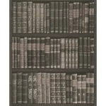  ورق حائط الماني لون بيج، طول 10 م، عرض 0.53 م، موديل 525823