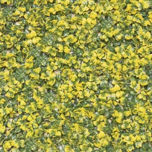 عشب جداري للديكور 2D، مقاس 50×50 سم، لون اخضر مع اصفر | 