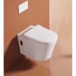 White Wall Mounted Water Closet, Modern Design