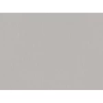 ورق حائط سادة هولندي مقاس 10 م×0.53 م، لون رمادي، موديل 221407