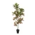 نبات صناعي للديكور، أخضر، طول 115 سم 