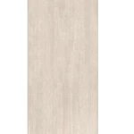 Fujian Porcelain Tiles Glossy Finish, Rectangular Design , 9.5 mm Thickness, Size 60 × 120 cm