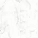 Fujian Glossy Porcelain Indoor Use for Floors, 9.5 mm Thickness, size 60 × 120 cm, Rectangular Shape