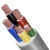 Riyadh Electric Cable 4mm2 300/500 Rated Voltage, 5 Core Stranded Copper, PVC Insulated and Sheathed