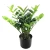 شجرة زاميا الصناعية، طول 42 سم، لون أخضر 