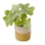 Small Artificial plant, 18 cm Height, 7cm width, green color 