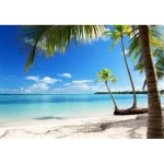 Decorative wall mural tropical design, Size 366 cm × 254 cm, blue color